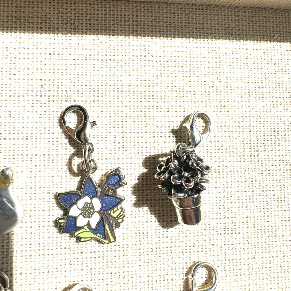 ↖️12 Charms: Bundle - Picture 6 of 8